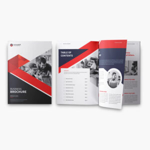 Company Brochure Design