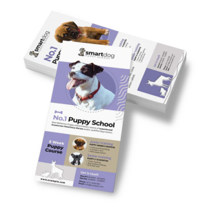 Rack Card Printing